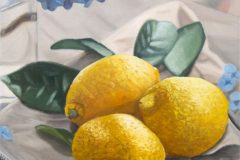Ford-Nicole-Lemons