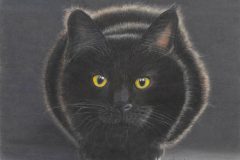 Schiavone-Susan-I-See-You