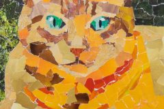 Under18-Tiberio-Taylor-Orange-Cat
